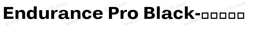 Endurance Pro Black字体转换